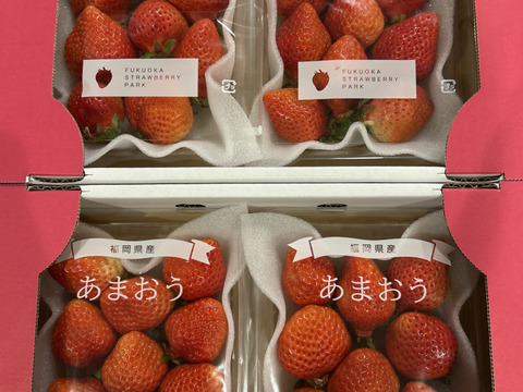 【いちごの王様！ あまおう苺 サイズ色々で270ｇ×4パック！