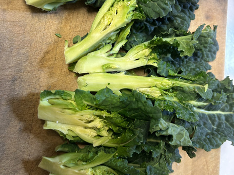 アレッタ600g/期間中農薬不使用、有機肥料主体