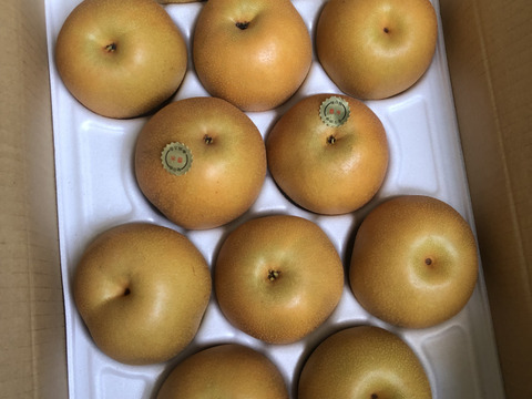 愛情たっぷり【豊水梨】箱込み5ｋｇ（12～14個）本州の方限定