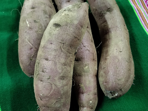 さつまいも　紅はるか　4.5ｋｇ　パチャママ農園