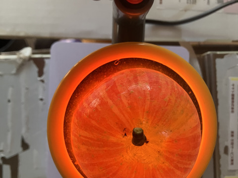 すぐ発送！5キロ 16-20 蜜入チェック済！樹上完熟蜜入葉取らずサンふじ　農薬半減栽培で安心安全