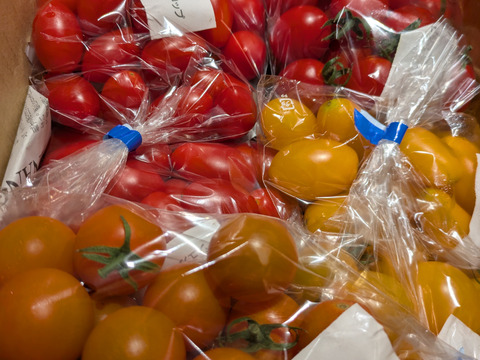 【農薬・化学肥料不使用】くせになる美味しさ！完熟ミニトマトBOX(2kg)