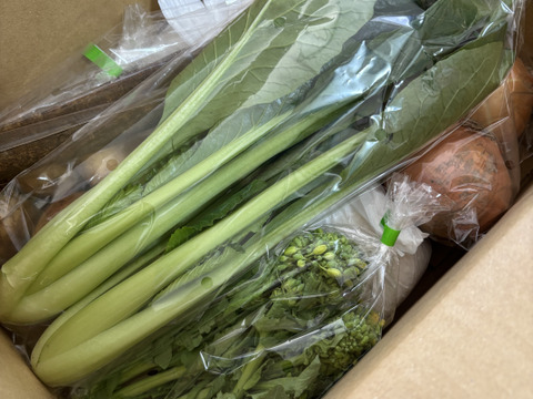 【週末限定10%引き❗️】お米とお野菜のセット☆畑直送☆福岡県糸島産白米２kg＋糸島産野菜５品のセット【糸島市ふるさと納税出品商品】【限定販売】