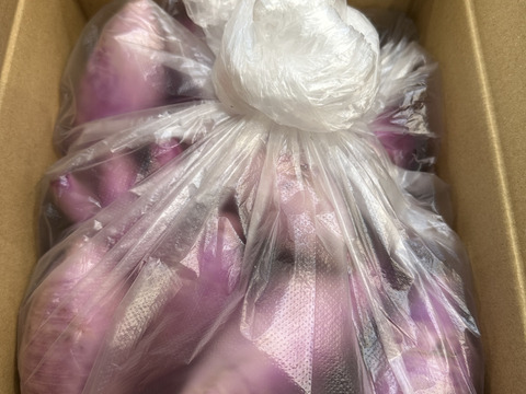 訳あり品【農薬・化学肥料不使用】MOA自然農法で育った紫大根　3kg