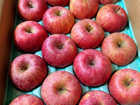 【小玉りんご】完熟サンふじ🍎16〜22玉１日１個まるかじり