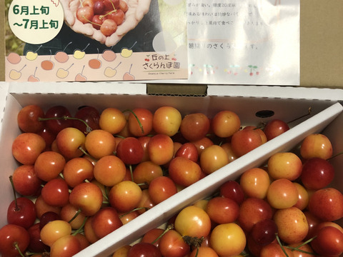 【紅秀峰】家庭用1kgバラ詰め♪たっぷり大満足の食べ応え✨