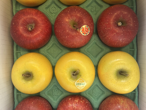 【予約販売】完熟　サンふじ＆シナノゴールドの詰め合わせセット 約3kg(7～12個)