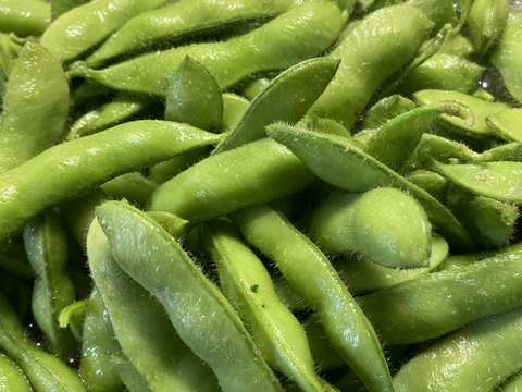 【季節限定】たっぷり1.2kg！甘く濃厚！枝豆『湯上り娘』300ｇ×４袋