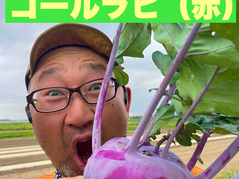 今だけ！６月８日（土）発送〜晴れ晴れファーム☆旬の水戸野菜セット・ニッシー価格2,400円(о´∀`о)