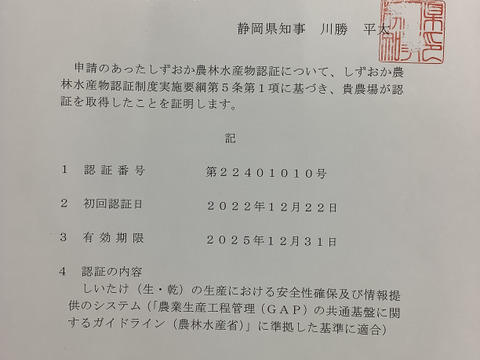 コロコロ椎茸600g