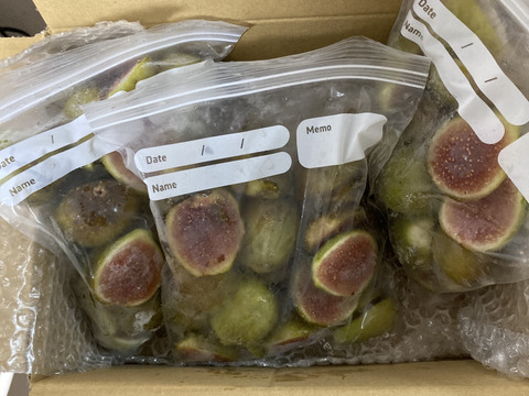 冷凍イチジク1.5ｋ(500g x 3) 完熟収穫＆農薬不使用