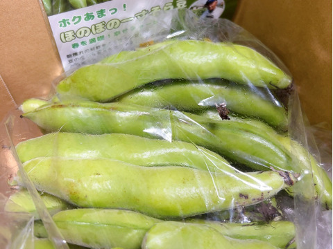 ほくほく深～い味わい❗朝穫れ❗2㎏「そら豆（さや付き）」