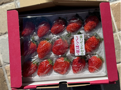 期間限定！毎年売り切れ必死の　紅ほっぺ30粒入り×2箱