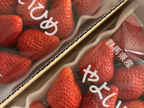 果汁たっぷり❗やよいひめ『群馬いちご』320g×4トレー（2箱）