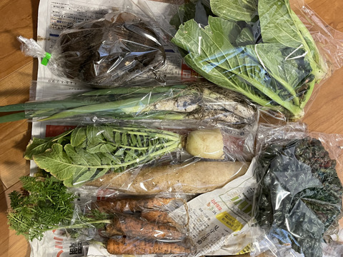 菜花がしゃきしゃき【みどりの畑から野菜たちのセット】自然農の畑から、不耕起草生　草とともに台地の畑で２6年の積み重ね、種とり、農薬肥料不使用）