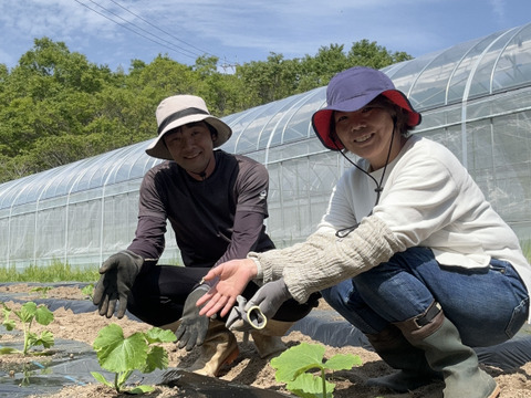 【箱いっぱいにお届け！】農薬不使用キラピカ旬野菜BOX11〜12品、朝穫れ農の島＊大三島＊よりお届け！