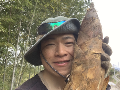 【和歌山産】天然たけのこ 孟宗筍 2.5kg以上 朝採り 当日発送 翌日お届け 肥料・農薬不使用