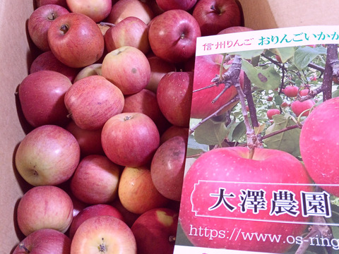 加工用りんご🍎10キロ