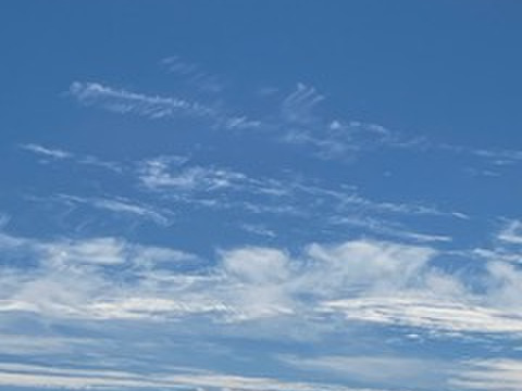 箱込3.3kg倉橋ミカン食べてクレ園の、はるみ 広島県　倉橋島はるみ