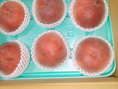 『夏ギフト』なつっこ🍑高糖度で硬めの桃✨朝採りその日に発送します
