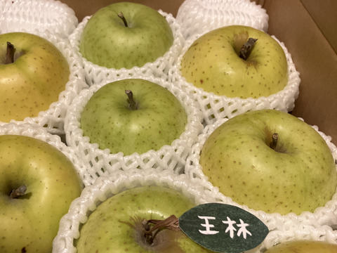 🍏芳醇な香り【王林】🍏１０～１２玉 約３キロ  （家庭用）商品ID118229