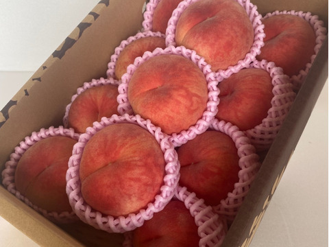 山形県産白桃　あかつき【小玉2キロ】