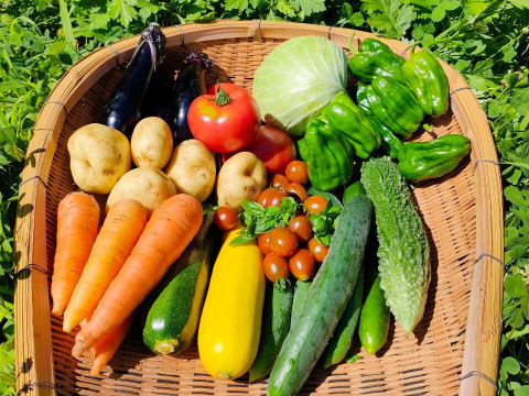 旬の野菜セット9〜10品目：群馬県産の野菜セット｜食べチョク