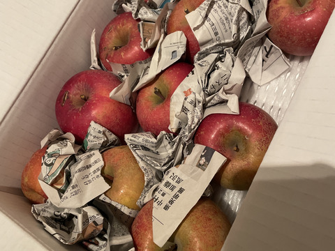 食べちょくアワード入賞記念　500円割引中❣　まるせい果樹園のサンふじ　訳あり　自家用　家庭用　3キロ rf7