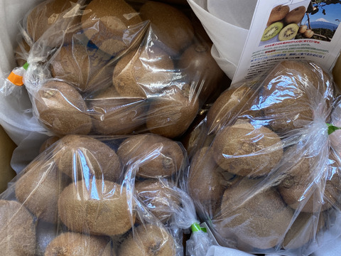 ビッくりキウイふる～つ （偏平Ｌ） 4キロ【品種ヘイワード】）