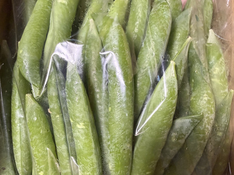 苦手な人こそ食べて欲しい！甘くてプチプチ食感のグリーンピース（1kg）！「子供が苦手だったのに、パクパク食べました！」と嬉しいお言葉をたくさんいただいた春イチオシ野菜です。