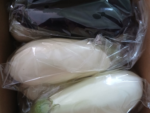 特別栽培　白茄子　6本