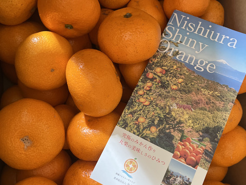 毎年大好評!!【訳あり10kg】寿太郎みかん　2月からのみかんは寿太郎！！