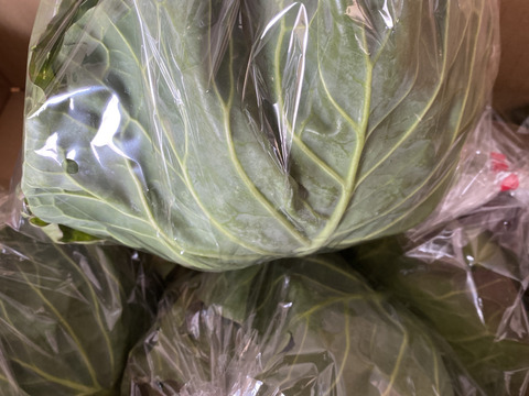 【期間限定！】大人気♪甘くて柔らか美味しさ感動級♪グリーンボール５玉