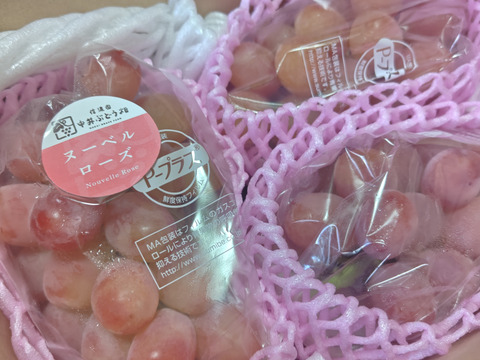 ヌーベルローズ 規格外（３〜５房）　種無し・皮ごと　９００g〜１kg☆９月下旬から発送☆