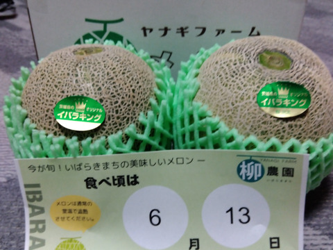 【糖度満点イバラキング】                                   口の中でとろけて飲める果実🍈