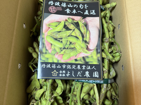【数量限定】丹波篠山 黒枝豆 枝付き2㎏ 丹波篠山産 丹波 枝豆 もっちり 黒大豆 大粒 波部黒 丹波黒 高級 2kg 黒大豆枝豆 枝付き 贈答品 束 丹波篠山黒枝豆 枝豆 丹波 黒豆