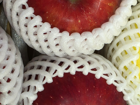 数量限定です！
シャインマスカット&旬の３種詰め合わせ
トキ▪︎ほのか▪︎紅玉　　各２玉♪