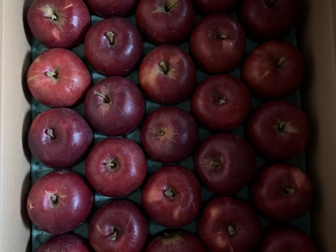 人気の紅玉!!家庭用🍎約4.5Kg　そのままお召し上がり可能。スイーツ、お菓子　青森県産　りんご　リンゴ　林檎　せなり