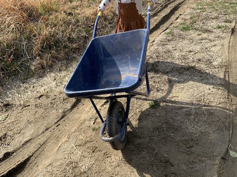 小さな農家の丁寧ほうれん草　1kg（150ｇ×7袋）期間限定！