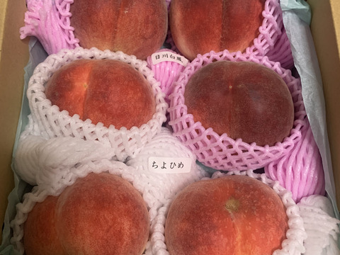【有機栽培の美味しい桃約2kg（第一期）】自然に優しく希少でジューシーな天然桃(6～7個入)！