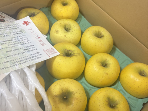 公式 家庭用】シナノゴールド 約4.5kg 12-25玉 パリっと歯ごたえ 果物