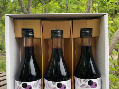 果汁100%！ブルーベリージュース300ml×3本
