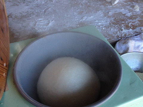 もち米（５Kg）阿蘇山から湧き出る美味しい水で育てた餅米