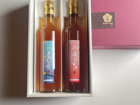 【ギフト】梅農家による甘辛梅酒500ml ２本セット ギフト のみくらべ 本格梅酒　辛口梅酒 甘口梅酒 自家栽培梅使用