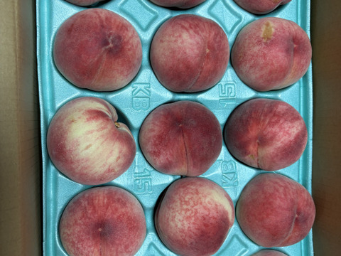 予約】桃 あかつき 良品 約5kg (13個〜22個)数量限定：長野県産の