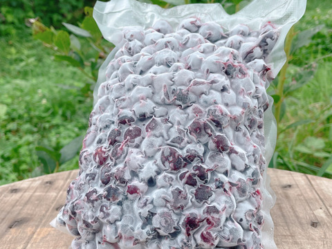 【道産自然栽培】冷凍ブルーベリー•1kg（古参品種ミックス）※まとめ買い対応