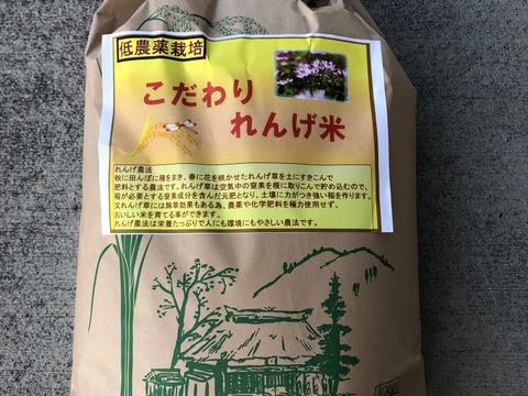 れんげ緑肥栽培 朝日米 玄米20㎏『総重量梱包材込』