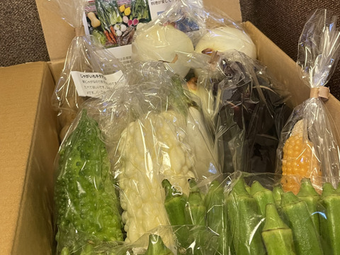 お楽しみ★農園自慢の情熱野菜セット　7袋　発送タイミングおまかせ　フードロス対策　パチャママ農園