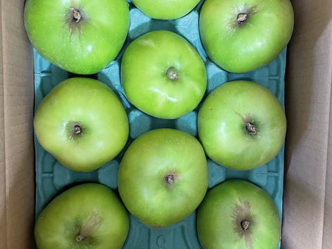 すっぱい！青りんご「ブラムリー」加工用　7個から12個