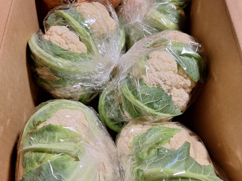 淡路島からのカリフラワー5つ　特別栽培農産物